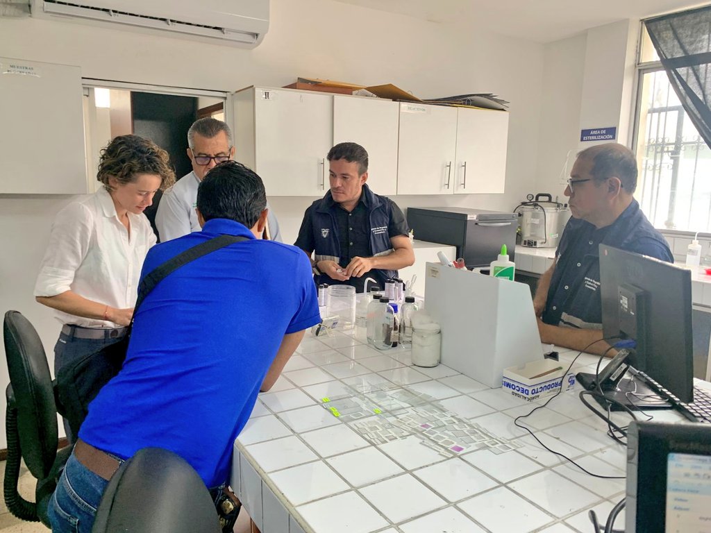 #Guayas | 🥭🤝 Recibimos la visita de <a href="/USDA_APHIS/">USDA Animal and Plant Health Inspection Service</a> para verificar los procesos de identificación de moscas de la fruta provenientes de fincas de Fundación Mango Ecuador y plantas de tratamiento hidrotérmico, garantizando exportaciones seguras y de calidad. 🇪🇨