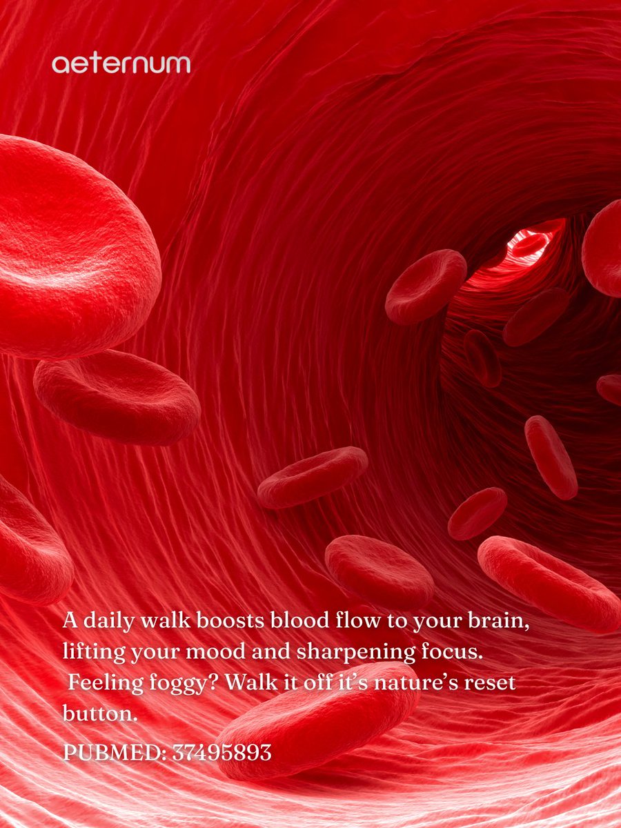 aeternumcompany's tweet image. ❤️ One simple habit for longevity: Walk 30–60 mins daily 🚶‍♀️ Strengthen your heart, reduce stress &amp;amp; support healthy aging. ✨ Follow us &amp;amp; visit our site! #LongevityTips #BiohackingHealth