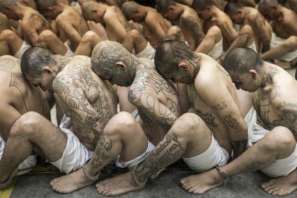 La Cruda Desnuda… tweet media