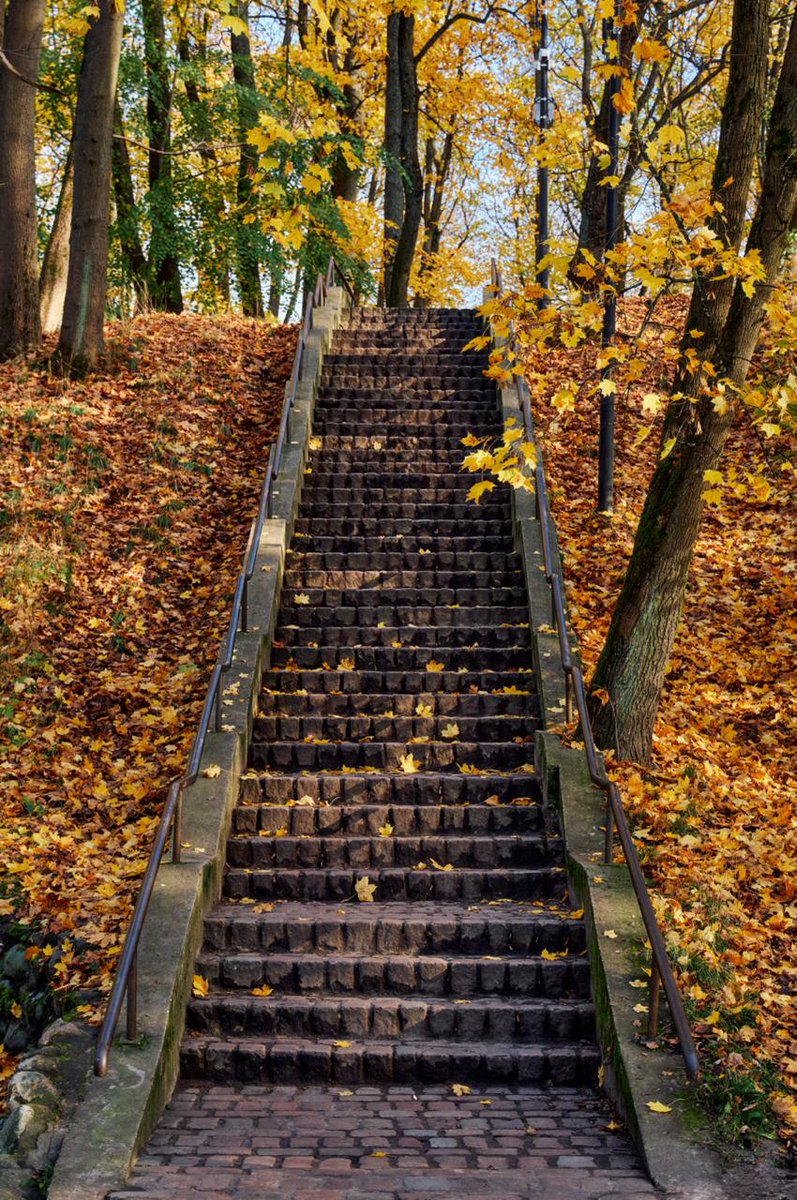 DasTere_8's tweet image. ⭐️🍁We were looking east.The world was at our feet...🍃✨"- How bright, how uncompromising, she came and threw everything off. "You're lucky to have a woman."- I'm talking about autumn.(Rinat Valiullin, The Fifth Season)✍️#Freedom #NewLife #MovingOn #quotes #BreakFree #walk #park