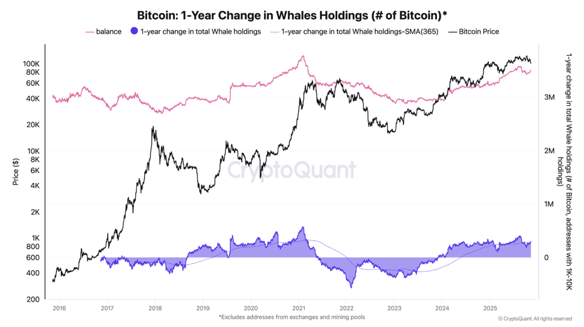 Web_talks_'s tweet photo. If you’re worried about the 4-year cycle, check out the Bitcoin 1-year change in whale holdings. The real moves are often hidden in what big wallets are doing, watch their accumulation &amp; distribution for a more nuanced trend than just halving hype. 📊 #Bitcoin #CryptoQuant" https://t.co/9G2w0MYeEJ