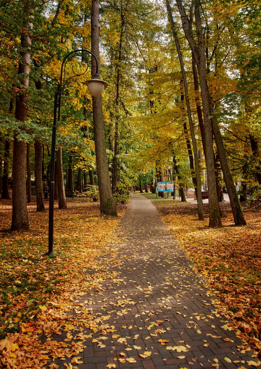 DasTere_8's tweet image. ⭐️🍁We were looking east.The world was at our feet...🍃✨"- How bright, how uncompromising, she came and threw everything off. "You're lucky to have a woman."- I'm talking about autumn.(Rinat Valiullin, The Fifth Season)✍️#Freedom #NewLife #MovingOn #quotes #BreakFree #walk #park