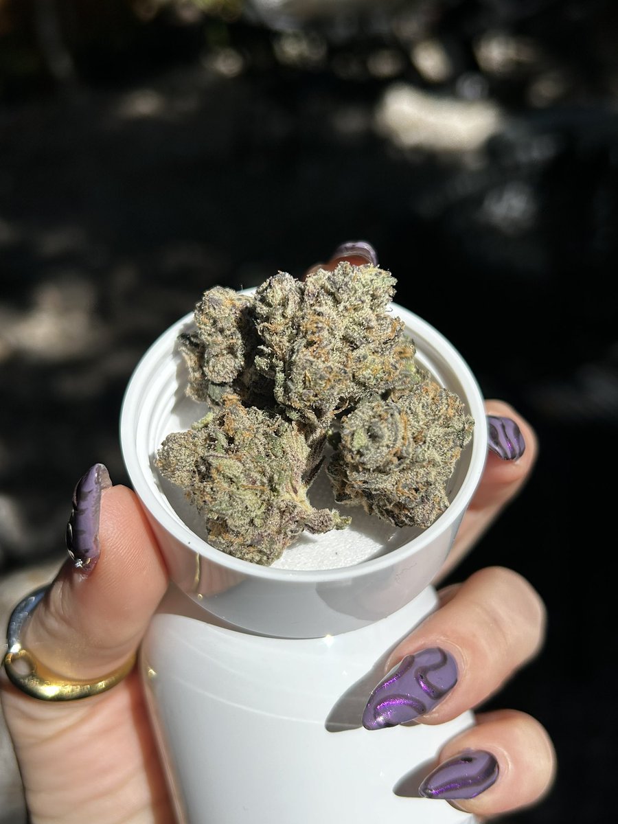 WizardTreesFL's tweet image. British Delight dropping Friday @TheFloweryFL