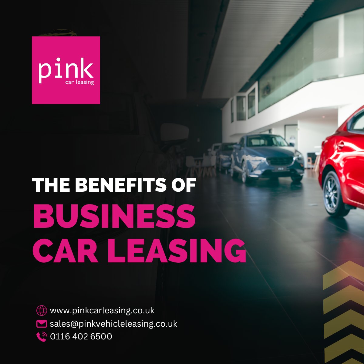 Pink Car Leasing tweet media