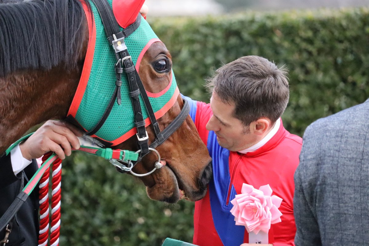 オルペ (@orfevre_2008514) / Posts / X