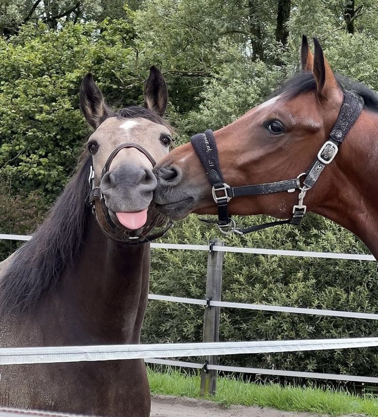Good morning, friends. Sunny and 50 degrees today! Never stop doing little things for others. Sometimes, those little things occupy the biggest part of your heart. Have a beautiful day filled with love and kindness. God bless you! ☀️🌾🍁🙏🏻🕊🍂🪾☕️