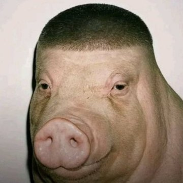 Summer_venom's tweet image. The #second Round Ticker is : $PIGGER 

DBh9F2wSukCJdZeNkLYe2LMYnCwMyLcnBgeCf4pgpump

It is funny and popular Meme     
nice position to get in and gamble the second round