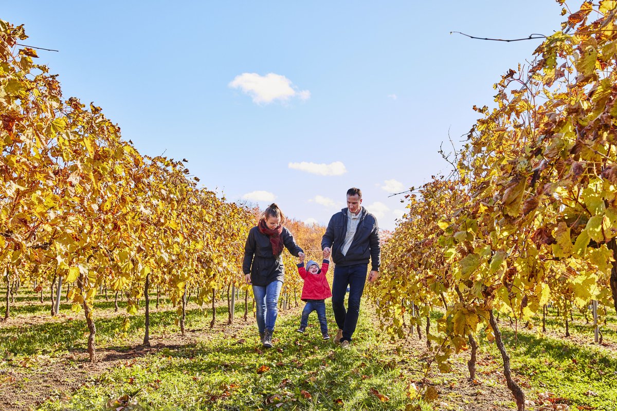 [ COMMUNIQUÉ ]
Un soutien renouvelé pour favoriser le développement de l’offre touristique dans la région de la Montérégie.
👉 bit.ly/4nZvTqt

#EPRTNT