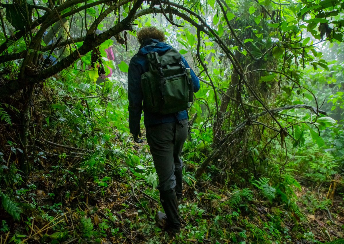 Know More About This Unique Rwandan Agency That Offers Tours To exclusive Travelers taarifa.rw/index.php/2025…