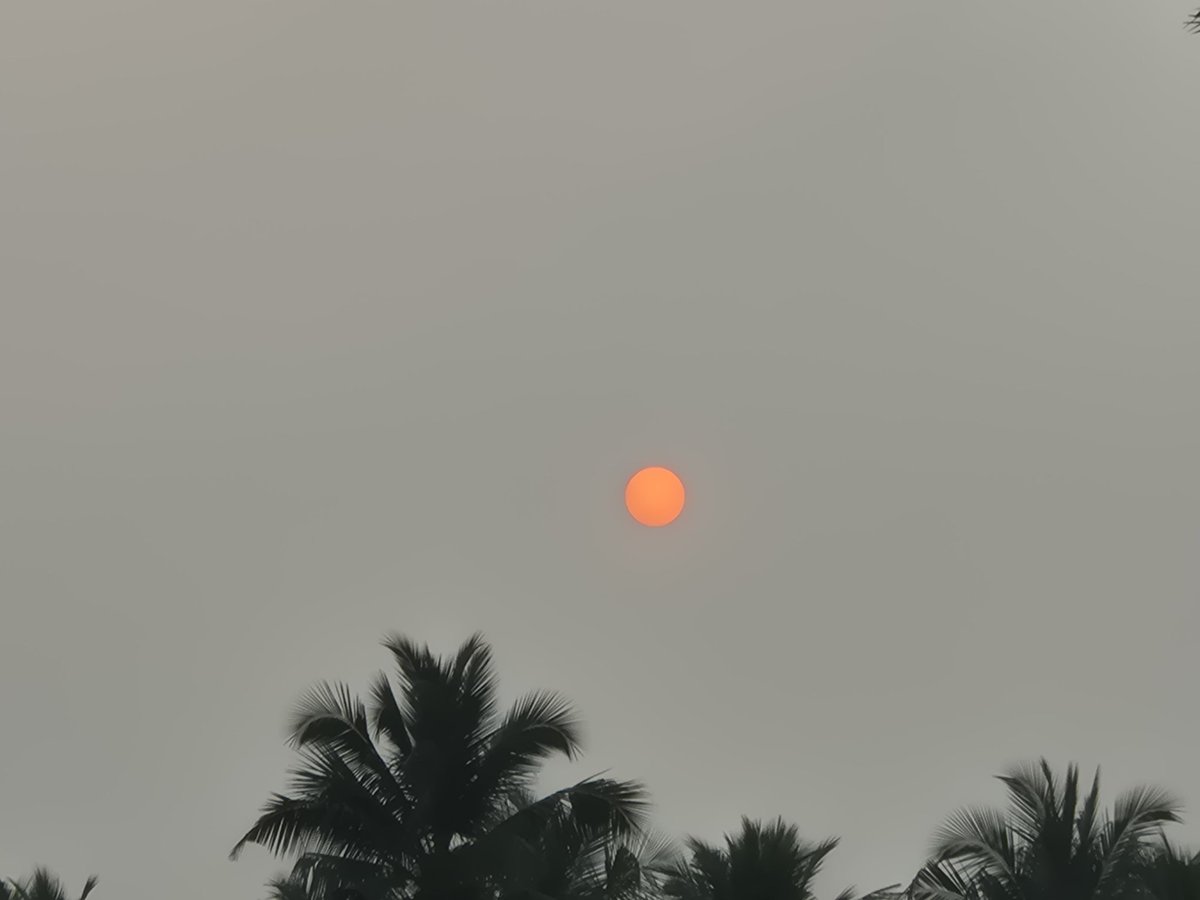 #greentwitter ❤️