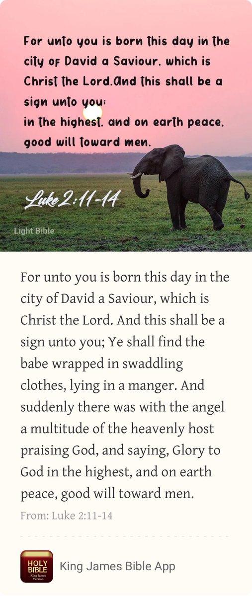 Natz Batz tweet media