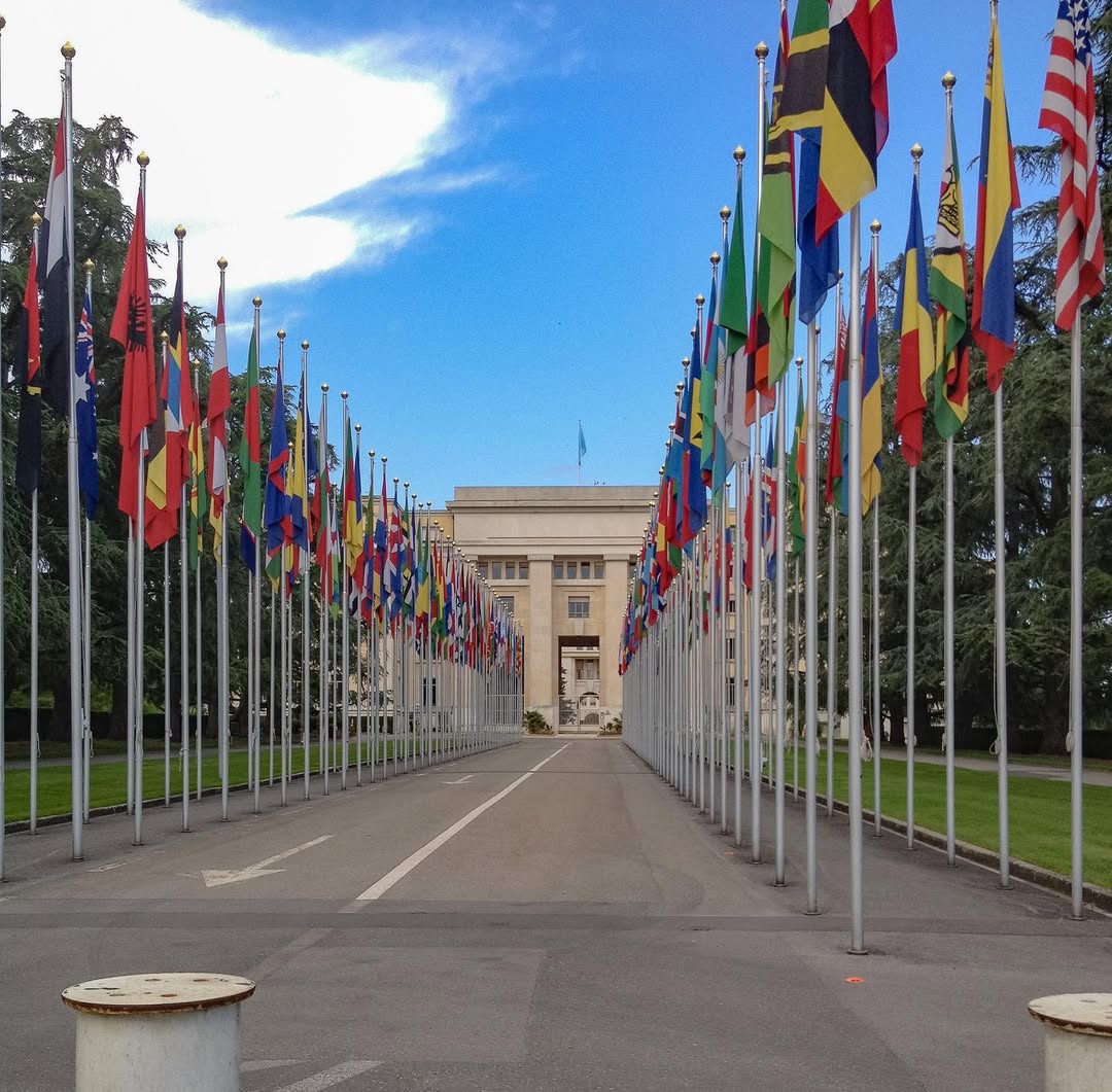 Tabreez's tweet image. 📌 #Postcard

Nations Unies