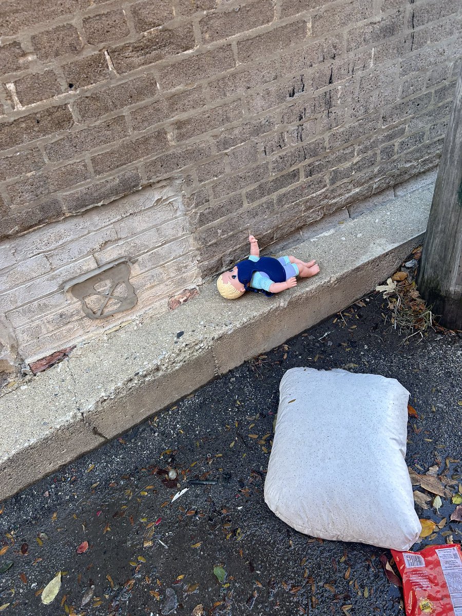 trashndgarbage's tweet image. Baby in dog harness got that dawg in her