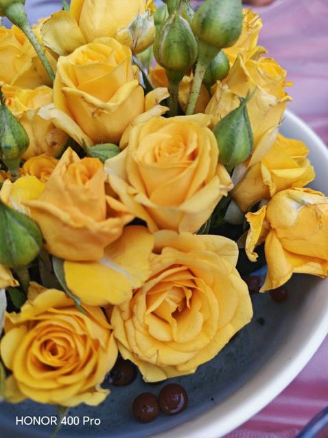 ⇣

َ
ً

َ
ً

اللّهُمَّ أسألُكَ قلبًا سلِيمًا✨
#مساء_الخير_والسعاده
#مساء_الخير 
#رسالة_لقلبك