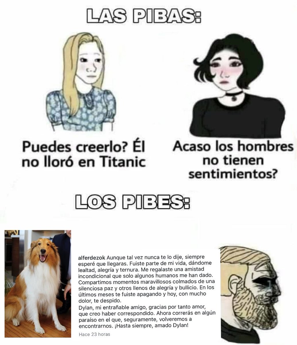 Los Herederos de Alberdi (@lhda16) on Twitter photo 