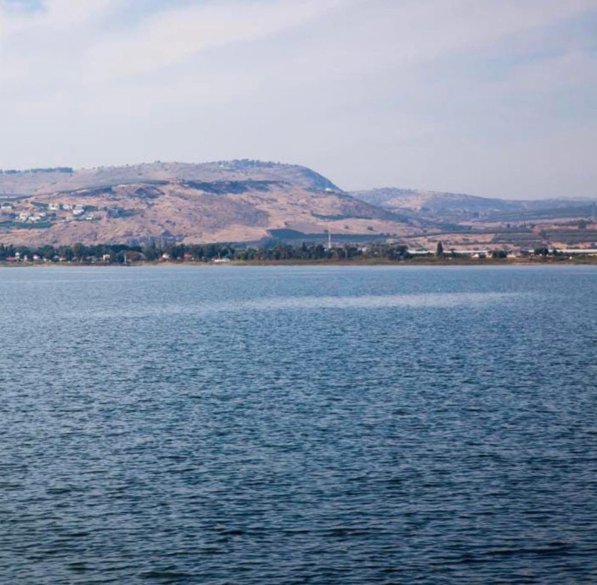 Tami 🇮🇱 tweet media