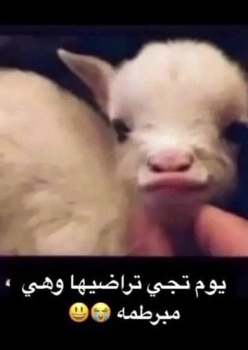 اذا شفت الولد برطمه كذا اغسل يدك منه