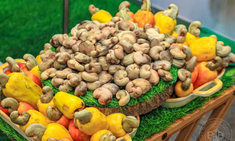 #Cajou : la 19ème #conférence #annuelle de l’#ACA reportée en 2026

#Tanzanie #Ghana 

PLUS DE DÉTAILS ICI 👇

 agratime.com/cajou-la-19eme…