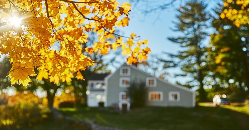 Cash-out refinances boost October mortgage volume
Learn more ➡️ loom.ly/0-7aypc