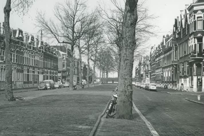 De Jericholaan gezien vanaf Oudedijk naar de Kralingse Plaslaan. 1966