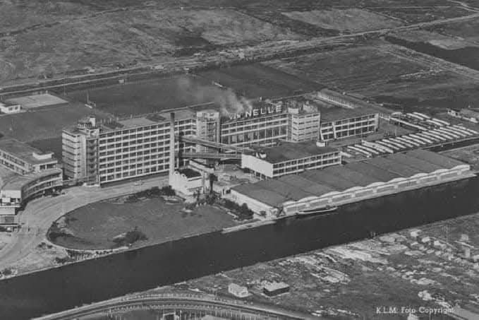 Kantoor en fabrieksgebouwen van De Erven de Weduwe J. van Nelle aan de Van Nelleweg aan de Delfshavense Schie. 1960