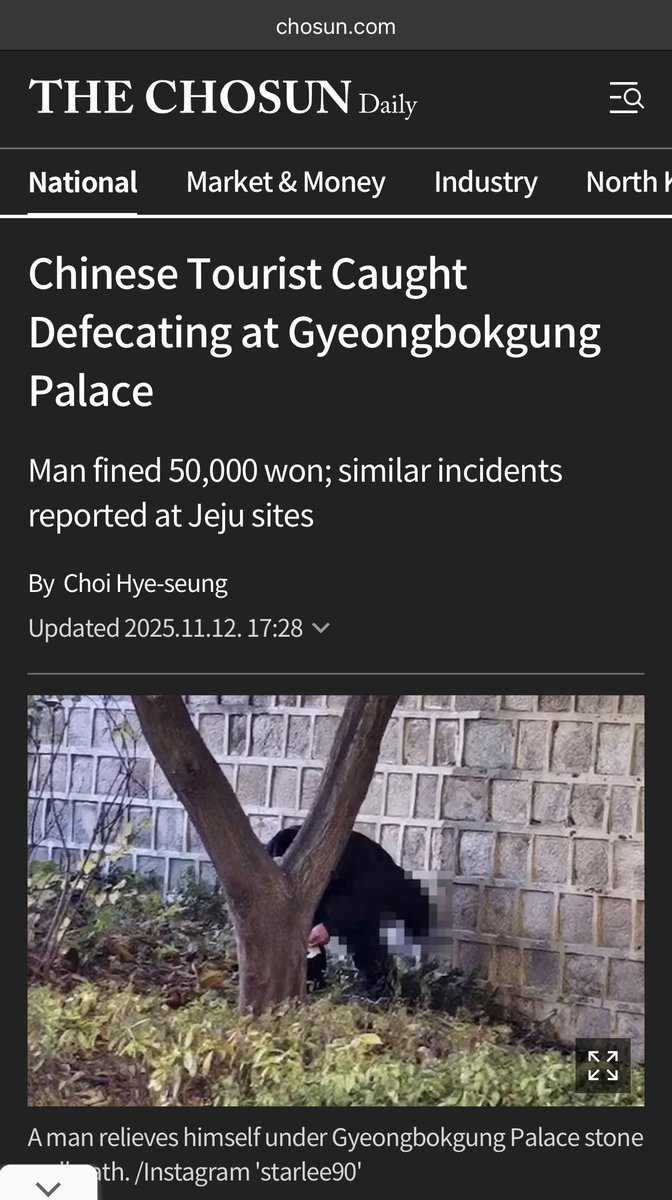 Neonlimeee tweet media