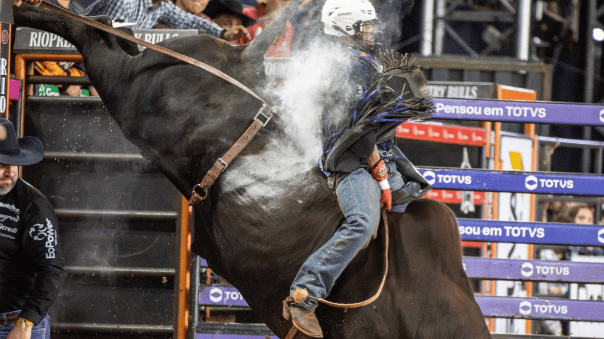 Despacho da Cia Paulo Emílio acirra disputa de touro do ano da CNAR
Saiba mais - eugeniojose.com.br/despacho-da-ci…
Foto Alberto Gonzaga