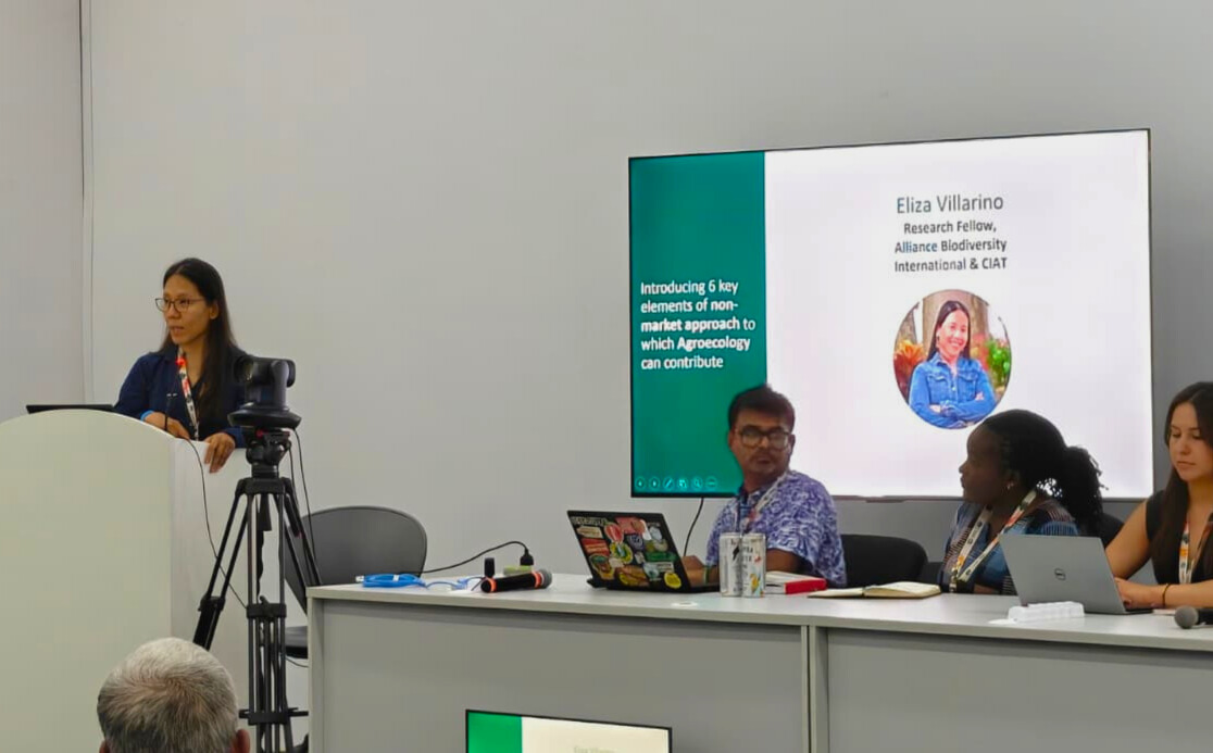 BiovIntCIAT_eng's tweet image. 📢💚 At #COP30, 👩‍🌾 @MarceQuinteroT identified farmers as agents of change, 👩‍🔬 @MaElizaJV highlighted agroecology’s role in building resilience, while 🏛️ Chiara Villani emphasized the role of policy in driving sustainable change. 
👉 allbiociat.org/49Ga5ws