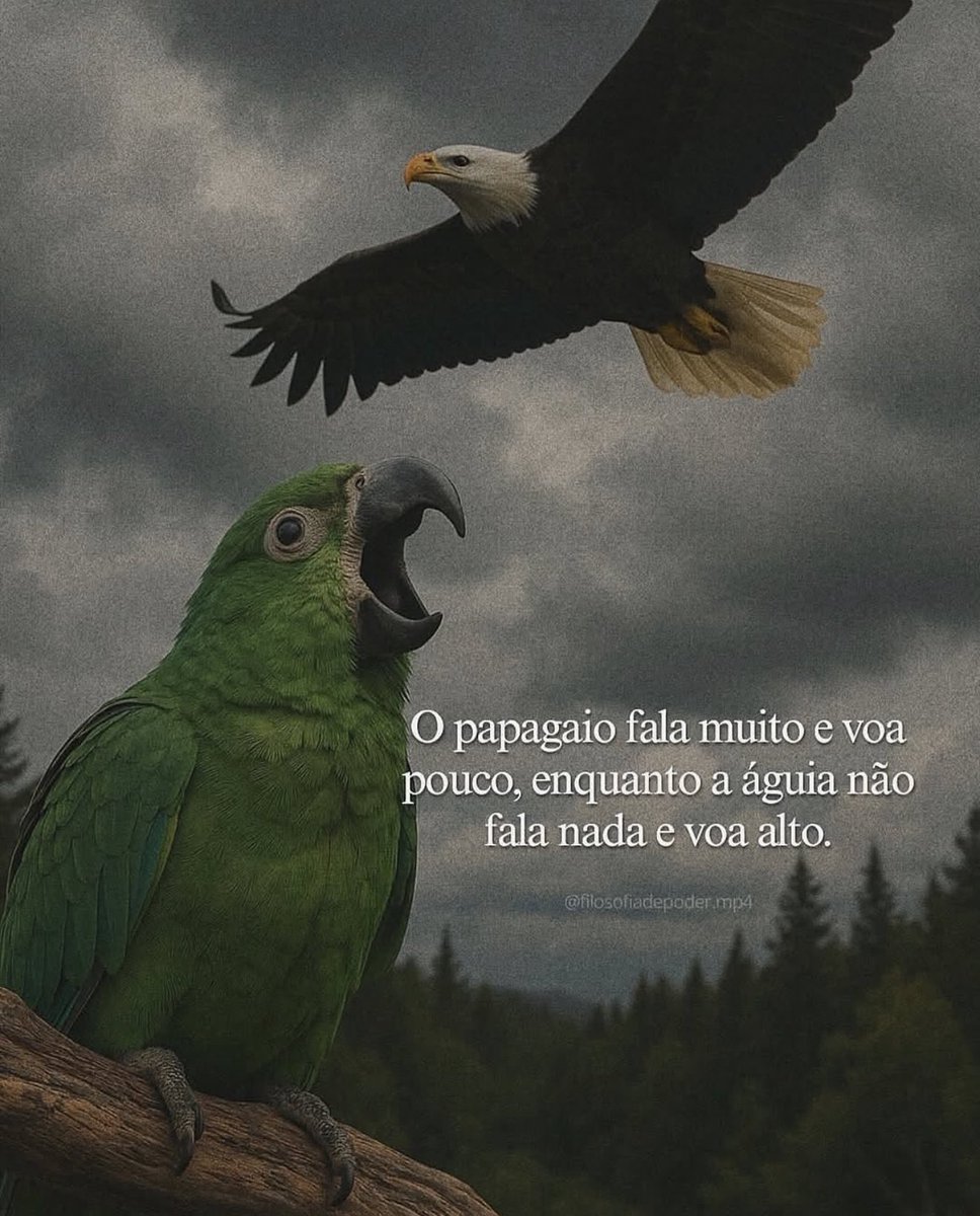 reescrevi_frase's tweet image. 