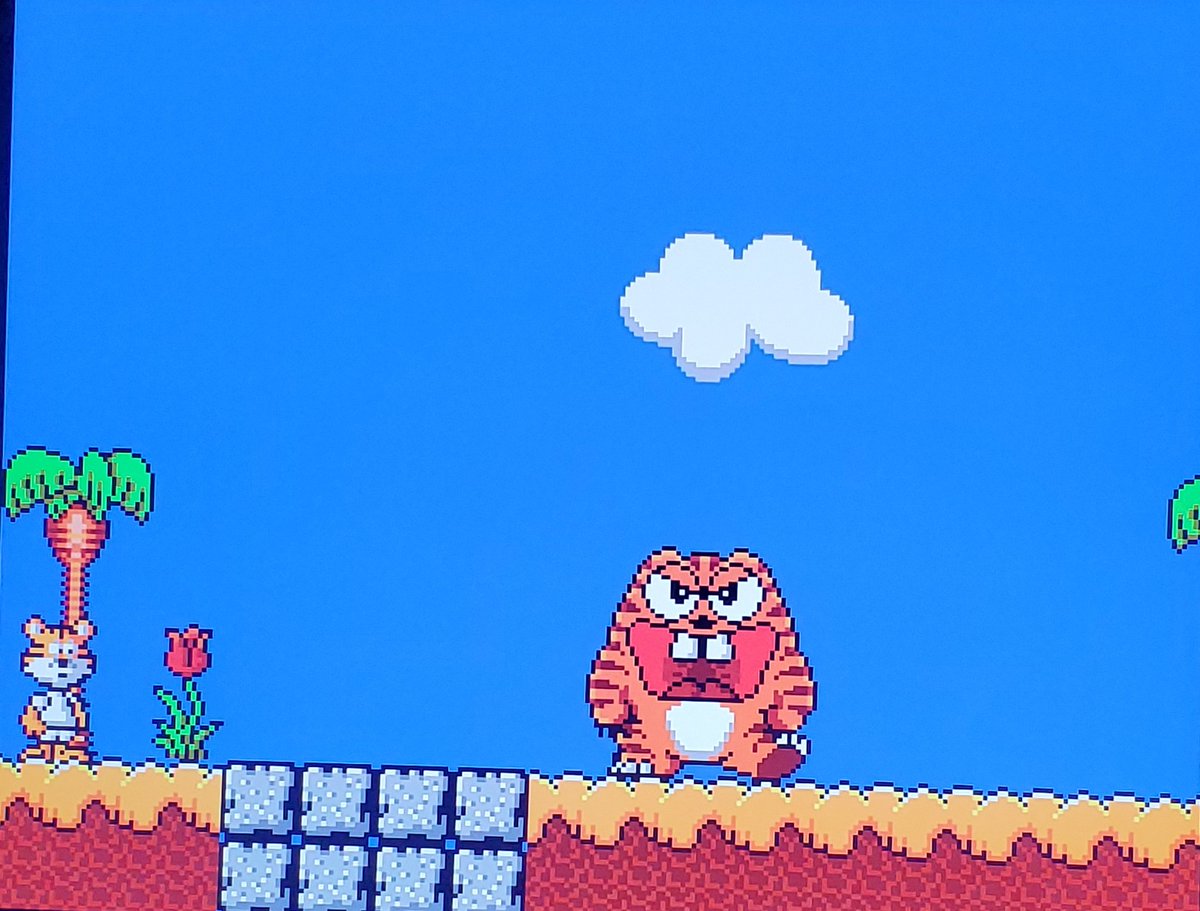 SonicEchoes's tweet image. Psycho Fox for the #SEGAMasterSystem! Psycho feels heavy so it takes some time to get used to. It&apos;s a cute game but all the lvls start to feel the same. You can transform into other animals but doesn&apos;t change the gameplay much. The game is unremarkable, but I enjoyed it. 

#SEGA