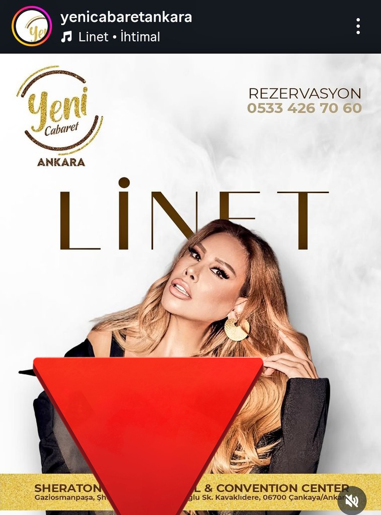 Linet yine aynı mekan ile konser vermeye başladı. Biliyorsunuz ki daha önce mekanın önünde yapılan eylem neticesinde konserleri iptal edilmişti. İsrail vatandaşlığından vazgeçmediği müddetçe çifte vatandaş Linet'e hiçbir yerde geçit yok. 

Valiliğe çağrımızdır: İsrail vatandaşı