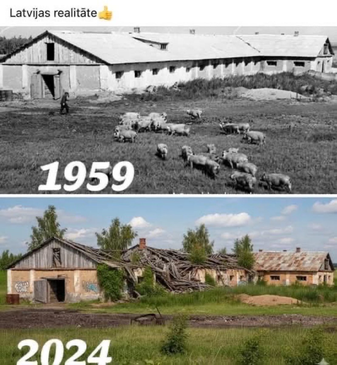 Кросевый Лотышский Потриот Vol.9 tweet media