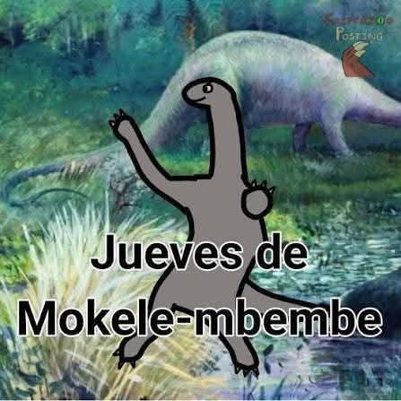 Akira_LAveyVT's tweet photo. HOY ES JUEVES DE MOKELE MBEMBE 🗣️🔥🔥🔥
#juevesdemokelembembe #Criptidos https://t.co/4alUbKWM8p
