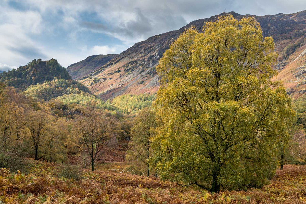 andrewswalks's tweet image. Castle Crag