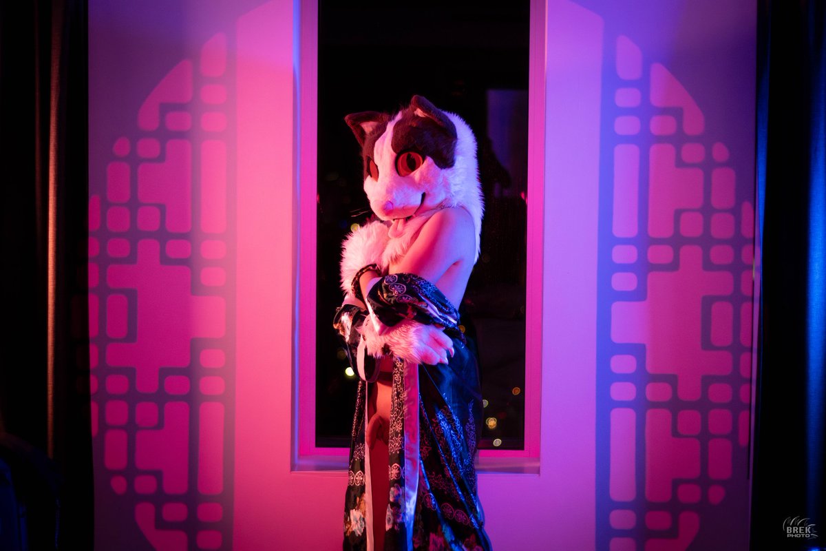 Oh ? You're here ~ 🐱🧡 

📸 : <a href="/BreakWoofAD/">ServiceTop Squeaky 🔞 🔜 @brek.bsky.social</a> 🐺

#murrsuit #furrynsfw #gayfurry #nude