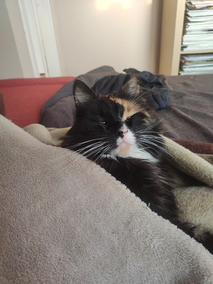 Apogs20's tweet image. 🧐 What&apos;s happening in my Queendom? 👑🪄