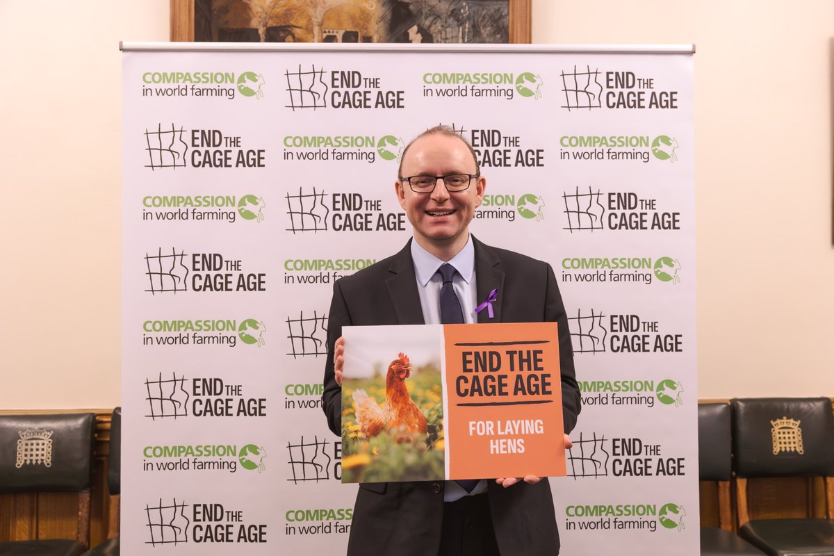 Compassion in World Farming UK tweet media