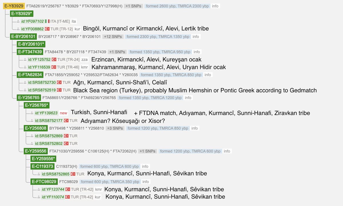 Kurdish DNA tweet media