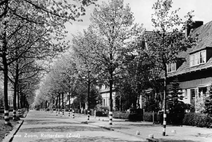 De Groenezoom in 1947 net voorbij hotel Het Witte Paard in de richting van de Groene Hilledijk. Rechts het buiten beeld liggende Boogjes. Op de bomen zie je witte markeringen. Die strepen werden vooral tijdens de oorlog aangebracht zodat je tijdens de zie links onder in ALT ⤵️⤵️