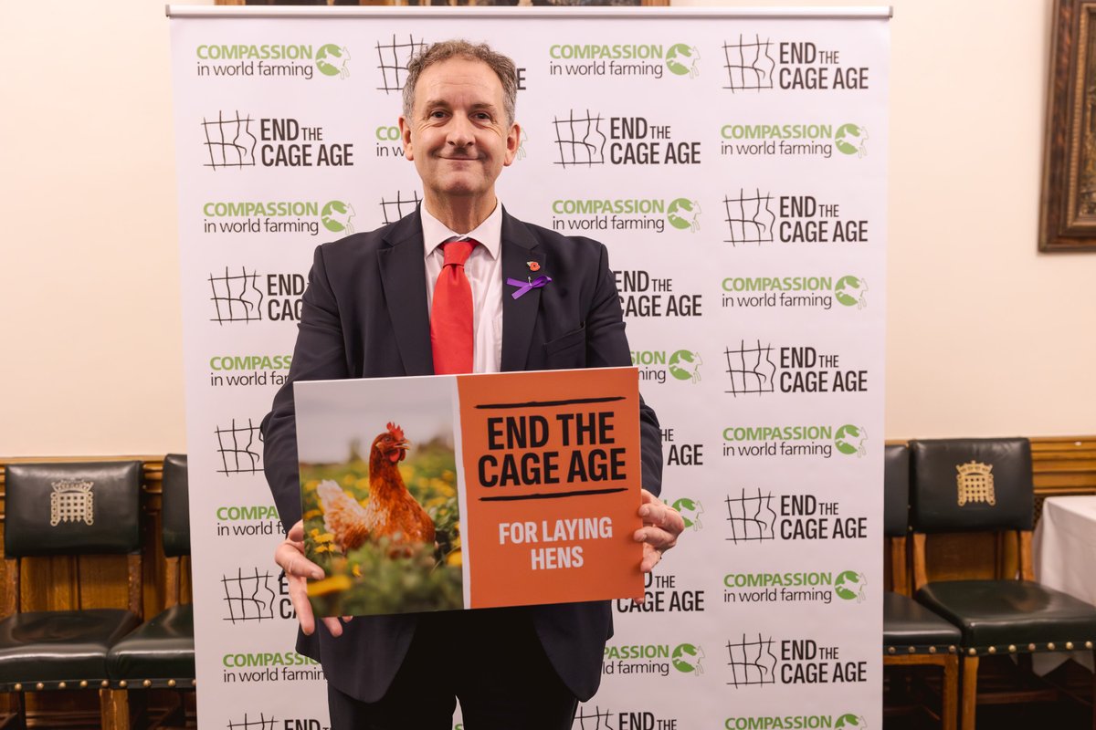 Compassion in World Farming UK tweet media