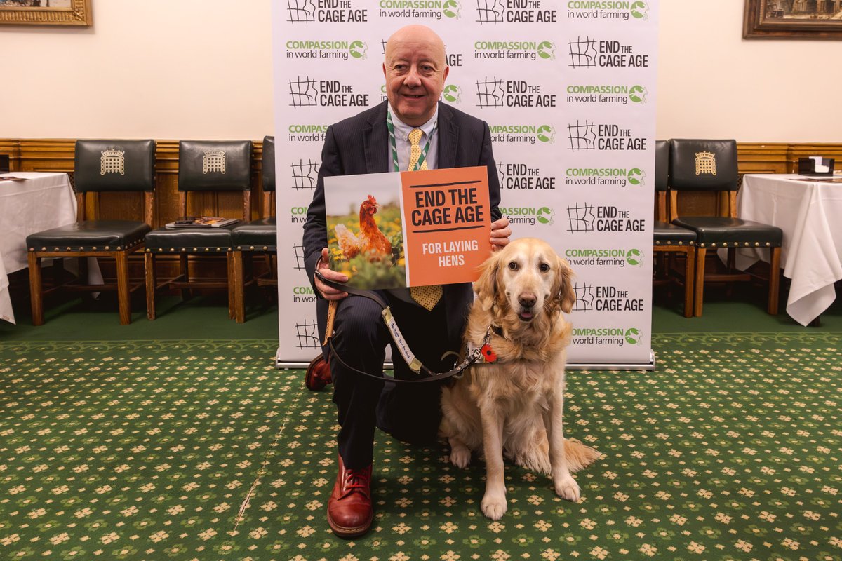 Compassion in World Farming UK tweet media