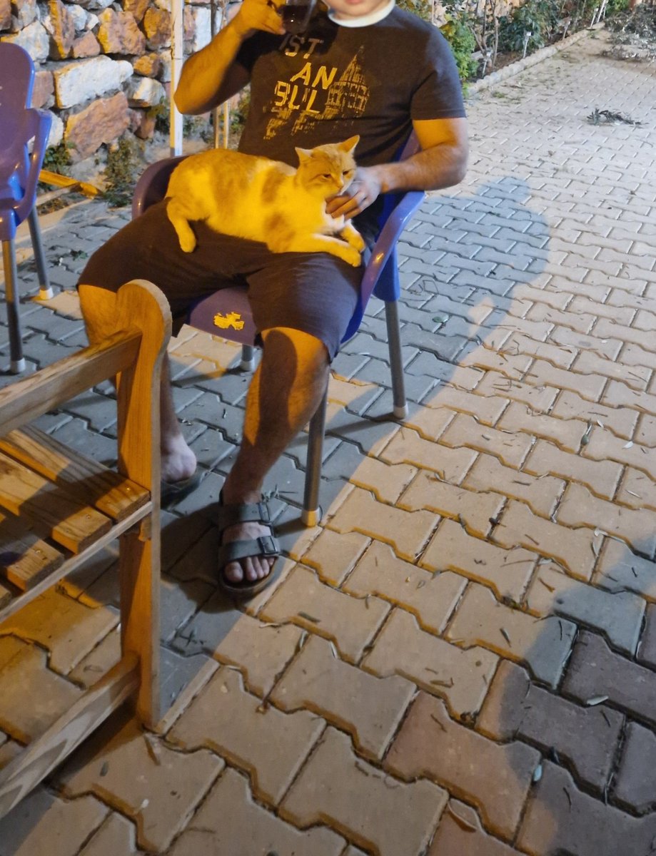 Mit Katze am chillen