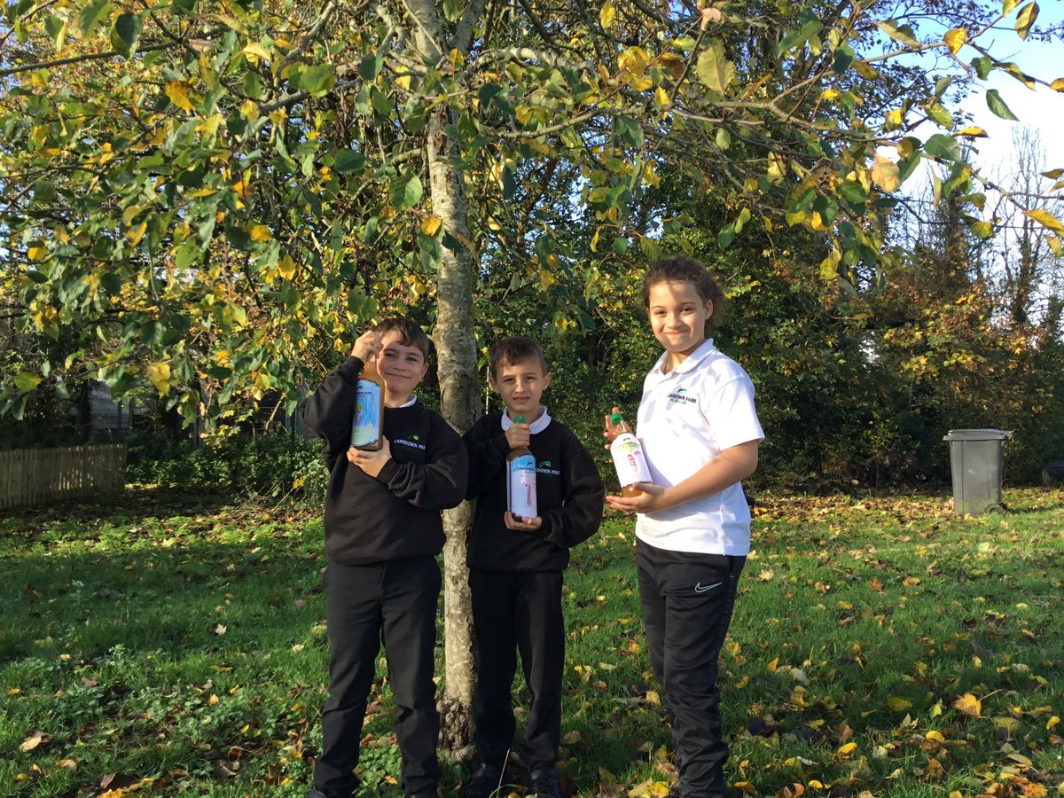 Lansdown Park Academy tweet media