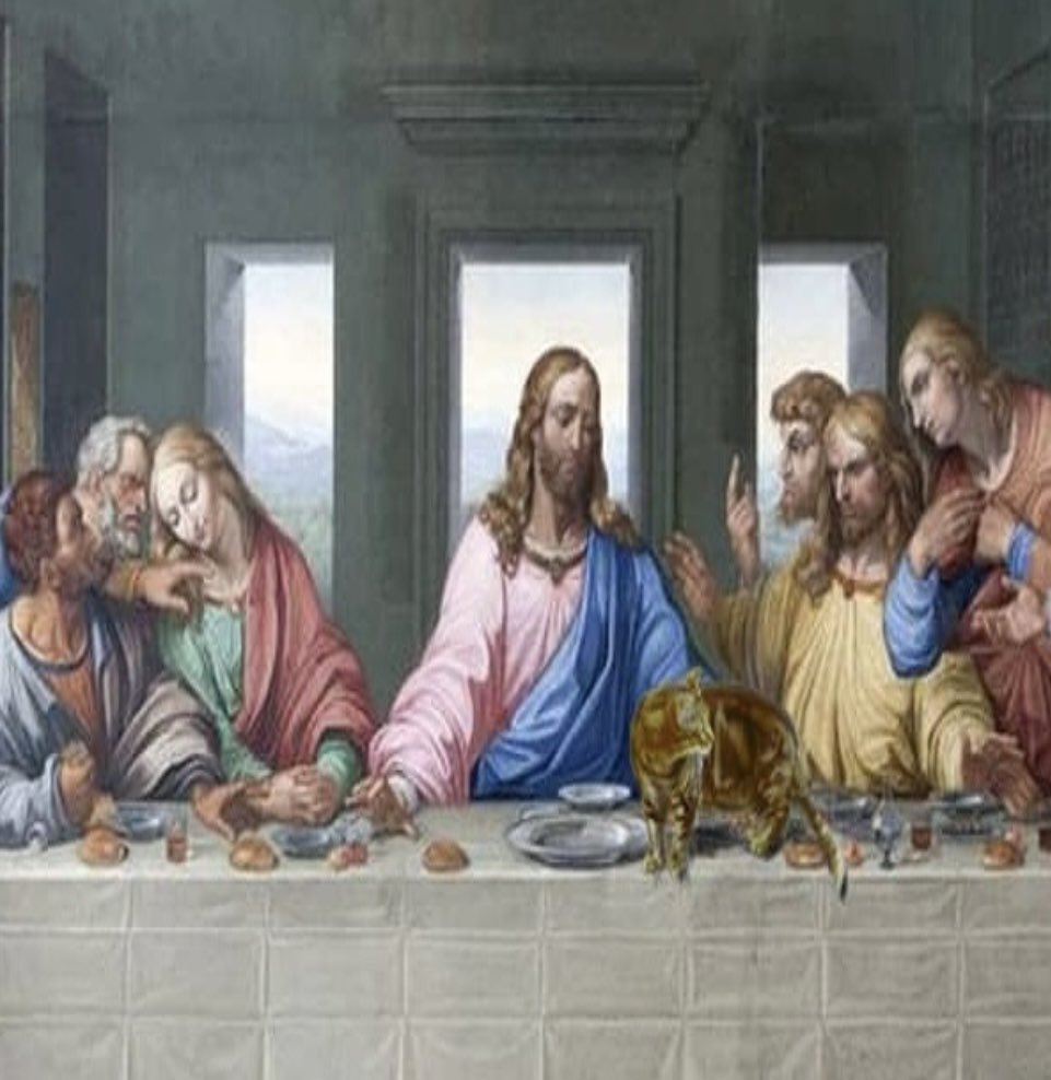 avery 🗡️ mcr nashville + ltl tweet media