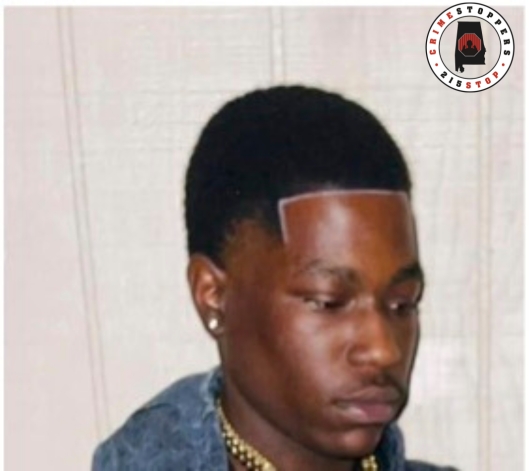 central31020's tweet photo. U.S. Marshals are actively searching for William Jordan Wingard. 18-year-old Wingard is wanted for Attempted Murder and Discharging a Firearm into an Occupied Building/Vehicle. Investigators believe Wingard may still be in the Montgomery, Alabama area. 

Call 215-STOP(7867) https://t.co/jxKXv0yWgk