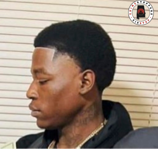 U.S. Marshals are actively searching for William Jordan Wingard. 18-year-old Wingard is wanted for Attempted Murder and Discharging a Firearm into an Occupied Building/Vehicle. Investigators believe Wingard may still be in the Montgomery, Alabama area. 

Call 215-STOP(7867)