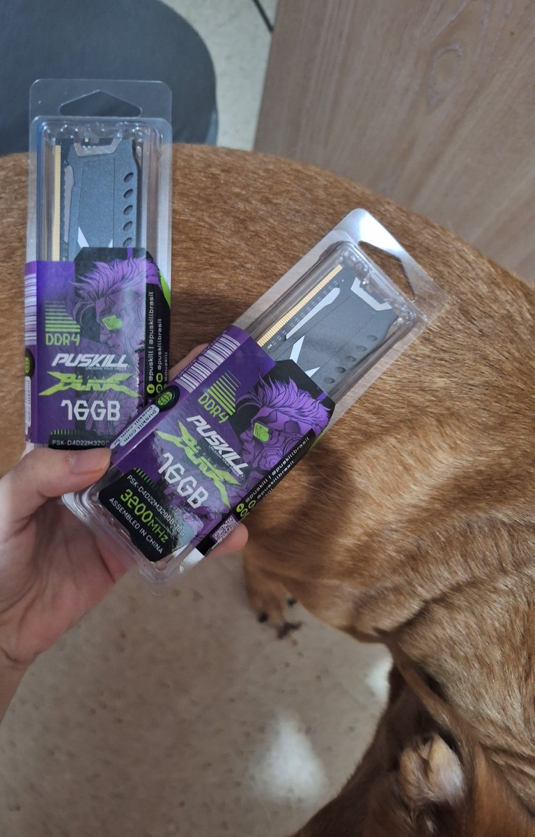 NotMary🦦 tweet media