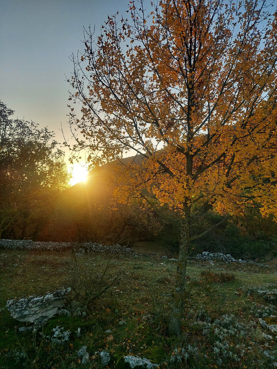 Maria Lea tweet media