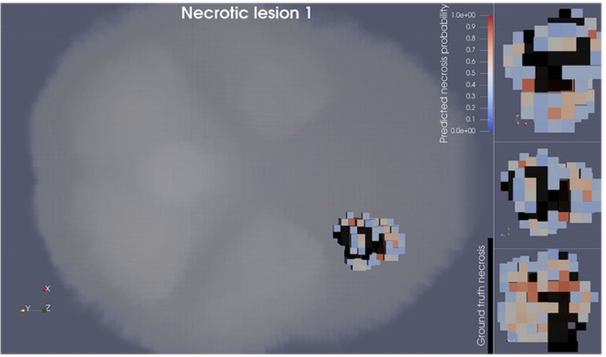Ibrahim Chamseddine, PhD tweet media