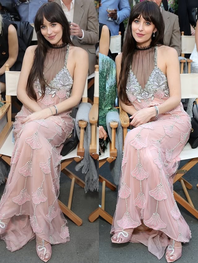 dakota johnson, the woman of your dreams